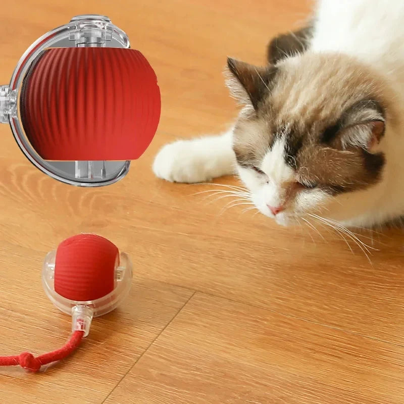 Plush Teasing Cat Toy Ball – Self-Rolling, Boredom Relief for Cats, Hair Ball Pet Toy