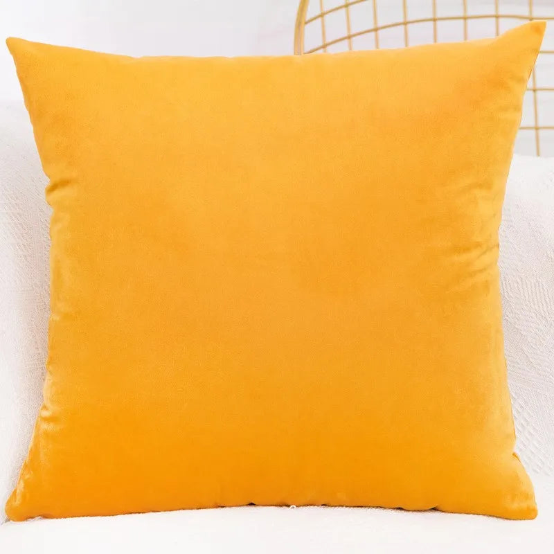 Velvet Throw Pillow Cover Decorative Square Cushion Case for Sofa & Bedroom