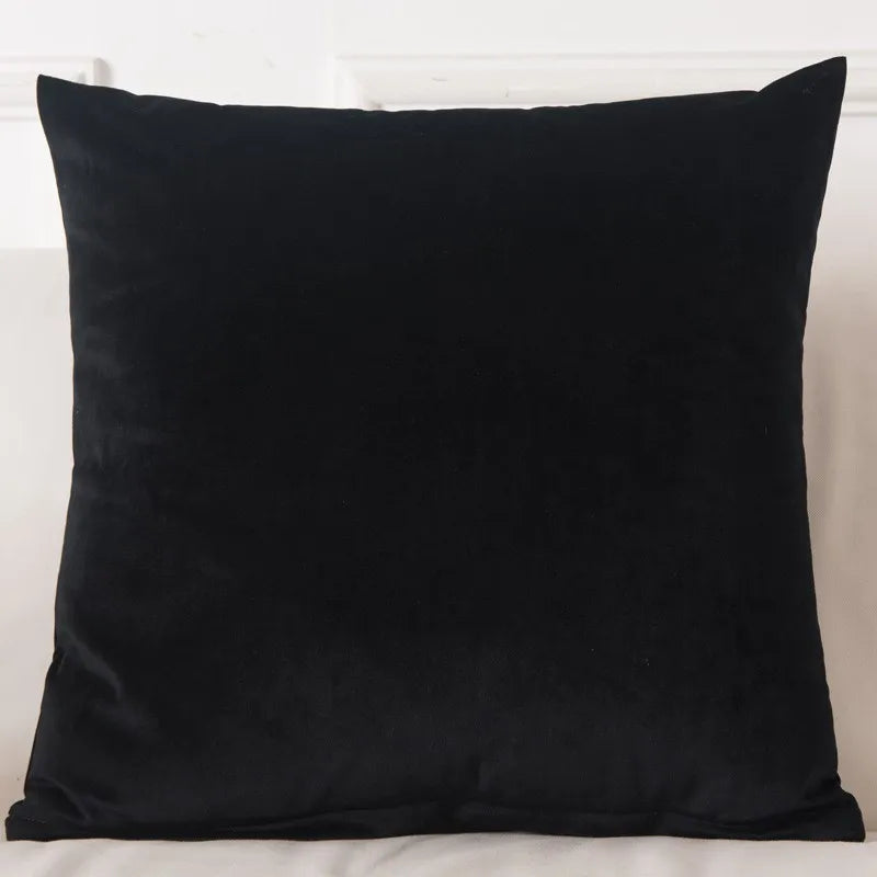 Velvet Throw Pillow Cover Decorative Square Cushion Case for Sofa & Bedroom