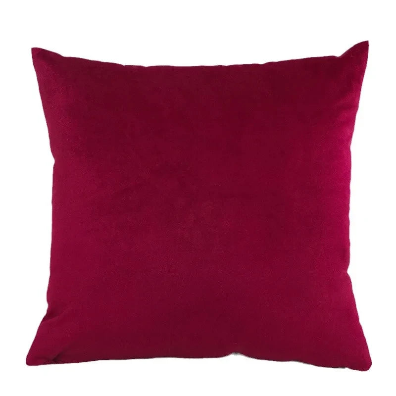 Velvet Throw Pillow Cover Decorative Square Cushion Case for Sofa & Bedroom