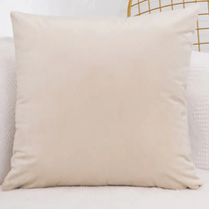 Velvet Throw Pillow Cover Decorative Square Cushion Case for Sofa & Bedroom