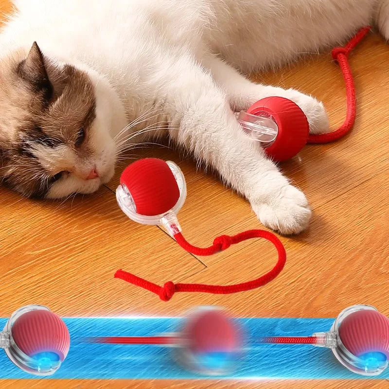 Plush Teasing Cat Toy Ball – Self-Rolling, Boredom Relief for Cats, Hair Ball Pet Toy